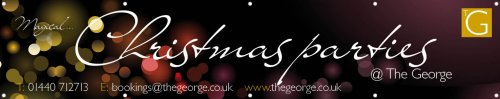 Christmas Banner 14