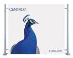 Straight Centro Systems
