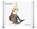 Curved Centro Systems